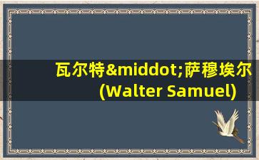 瓦尔特·萨穆埃尔(Walter Samuel)穿过几号